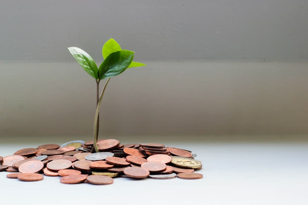 Wealth Building